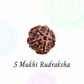 5 Mukhi Rudraksha | Vaidik Online